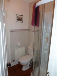 The Annexe, Nr Sherborne (4)