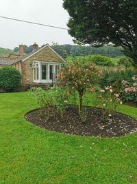 IMG_20210914_115511